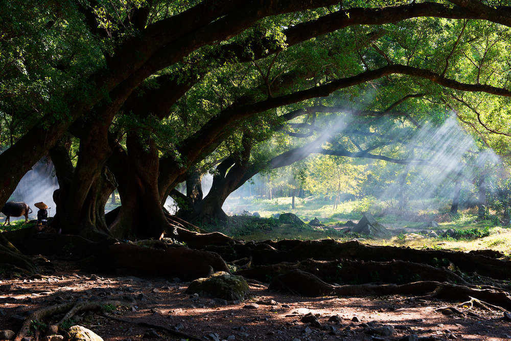 46_549320_a1d92716c2daea5.jpg 46_549320_a1d92716c2daea5.jpg