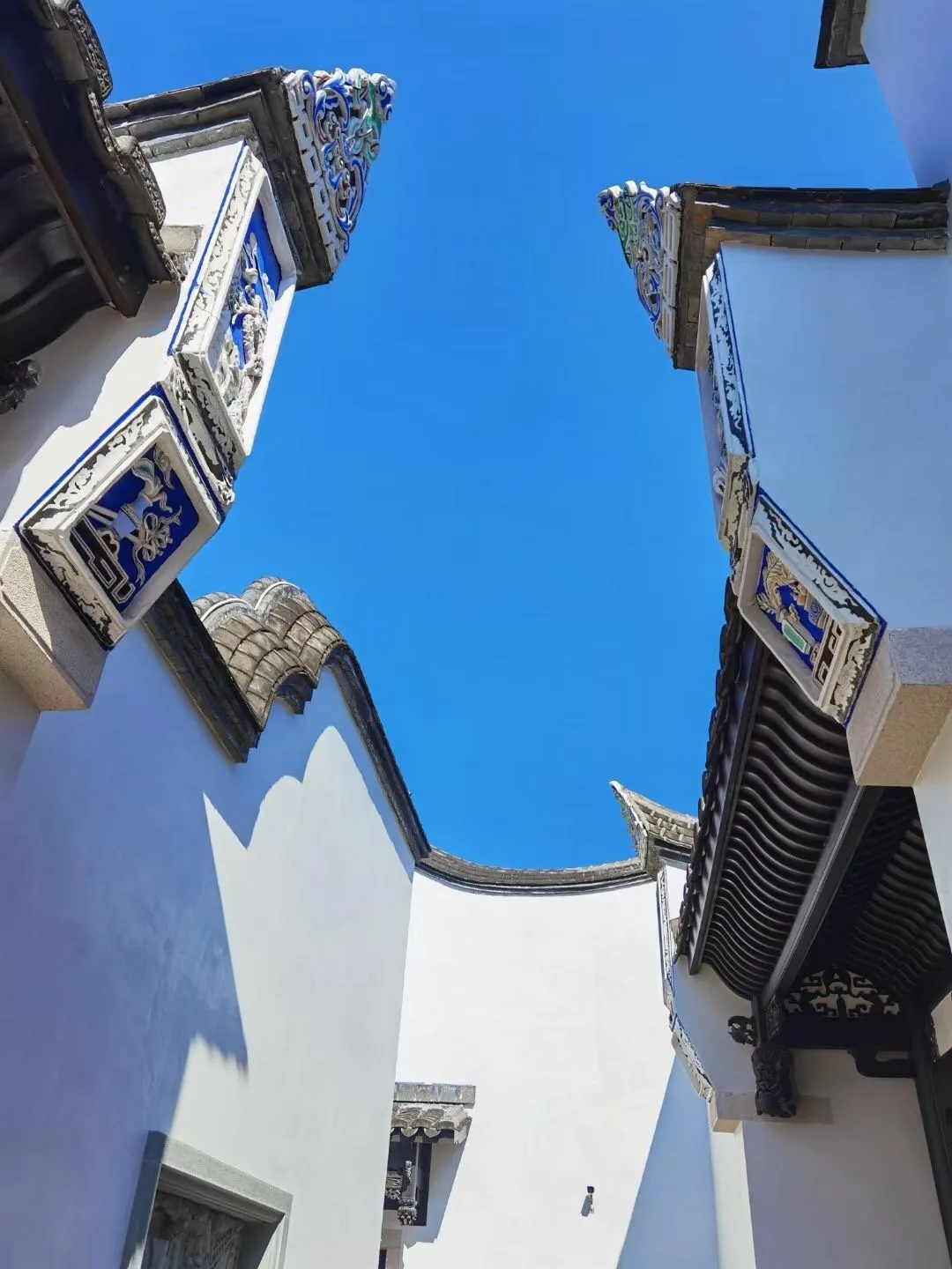 8.webp.jpg 8.webp.jpg