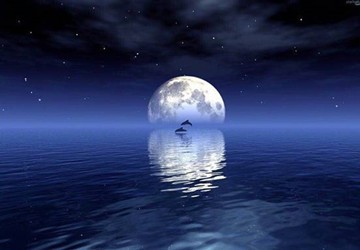 祝愿大家中秋节快乐！